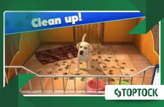 Pet World – Animal Shelter