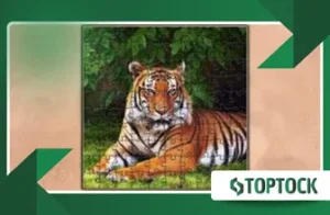 Jigsaw Puzzles Epic: Recreate Pictures by Placing Sticks One Piece at a Time